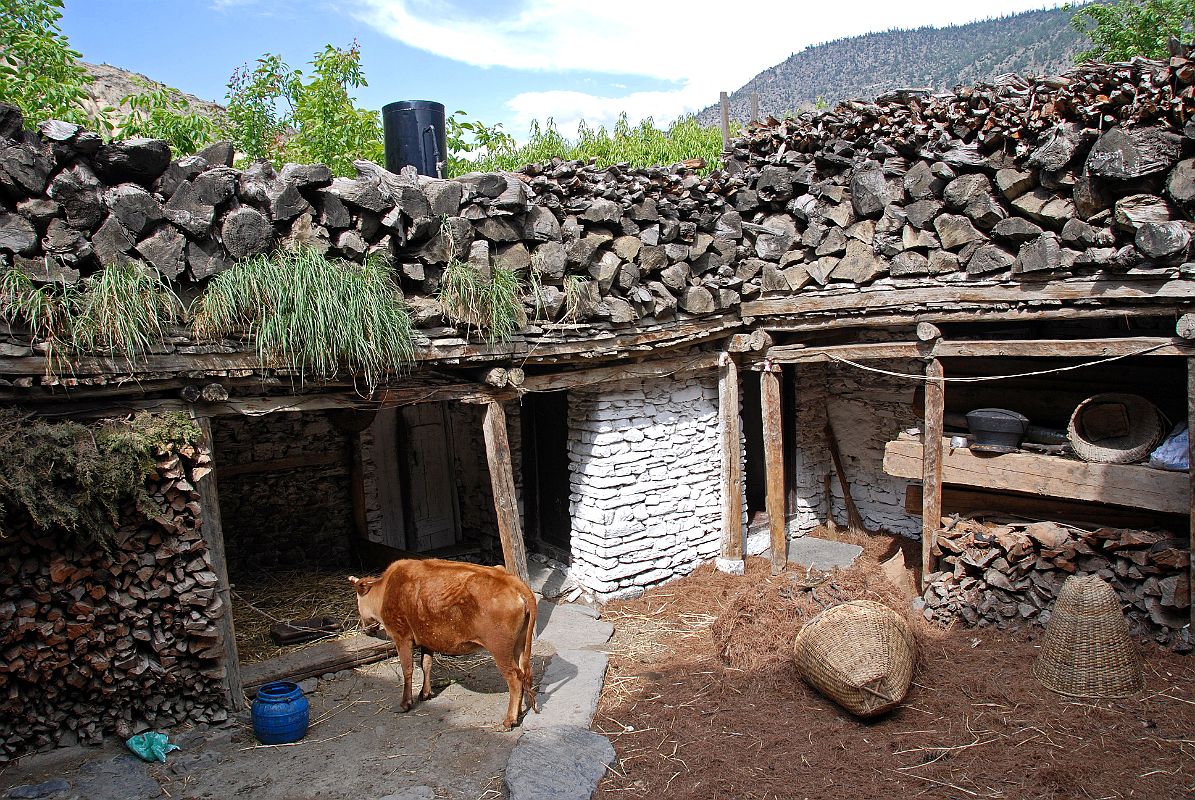 103 Marpha Hotel 2008 View Of Toilet And Shower Near Cow Pen In 2008 I stayed in a different hotel. The toilet and shower in our lodge in Marpha was next to the cow pen. Cozy.